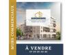 TROYES 10000 - VENTE - MURS LOCAUX COMMERCIAUX- ANCIEN - 133 Aube Troyes