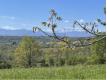 SECTEUR BALESTA : Potentiel norme pour cette vielle ferme en ga Garonne (Haute) Balesta