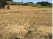 Terrain  batir avec jolie vu Gers Masseube
