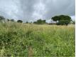Terrain 1205m2 - CHERAC Charente Maritime Chrac
