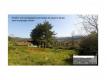 Terrain constructible Aude Espraza