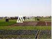 TERRAIN CONSTRUCTIBLE  525 M A PIZAY Ain Pizay