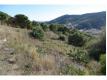 vente terrain Pyrnes Orientales Cerbre