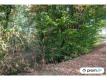 Terrain constructible de 3 564 m Corrze Ussac