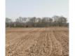 Terrain constructible SURGERES 310 m2 Charente Maritime Surgres