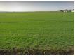 Terrain constructible Andilly 301m2 Charente Maritime Andilly