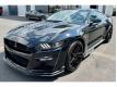 Ford Mustang GT 500 SHELBY 771cv NEUF PAS DE MALUS Gironde Bazas
