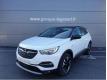 Opel Grandland X 1.2 Turbo 130ch Design Line BVA Sarthe Le Mans