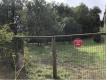 Terrain  Vendre Pyrnes Orientales Le Boulou