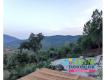 Plan de la Tour, villa de 140 m2 sur un terrain de 1ha Var Plan-de-la-Tour
