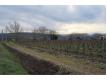 Limoux, terrain  btir de 3500 m2 Aude Limoux