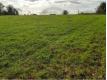 Terrain  btir Seine et Marne Nemours