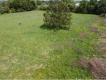 Terrain constructible d'un hectare en zone industrielle Calvados Lisieux