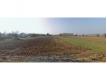 TERRAIN A BATIR 5.55 ares ROPPENHEIM Rhin (Bas) Roppenheim