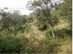 Trs beau terrain de 3000 m2 en pente Gard Uzs
