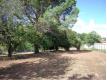 Terrain Constructible Lot et Garonne Fumel