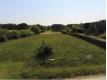 Grand terrain  btir Landes Aire-sur-l'Adour